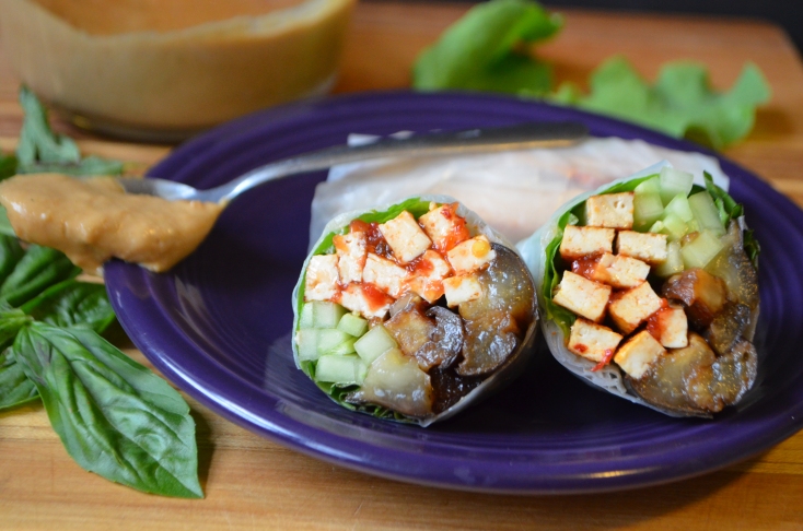 Eggplant and Spicy Tofu Spring Rolls